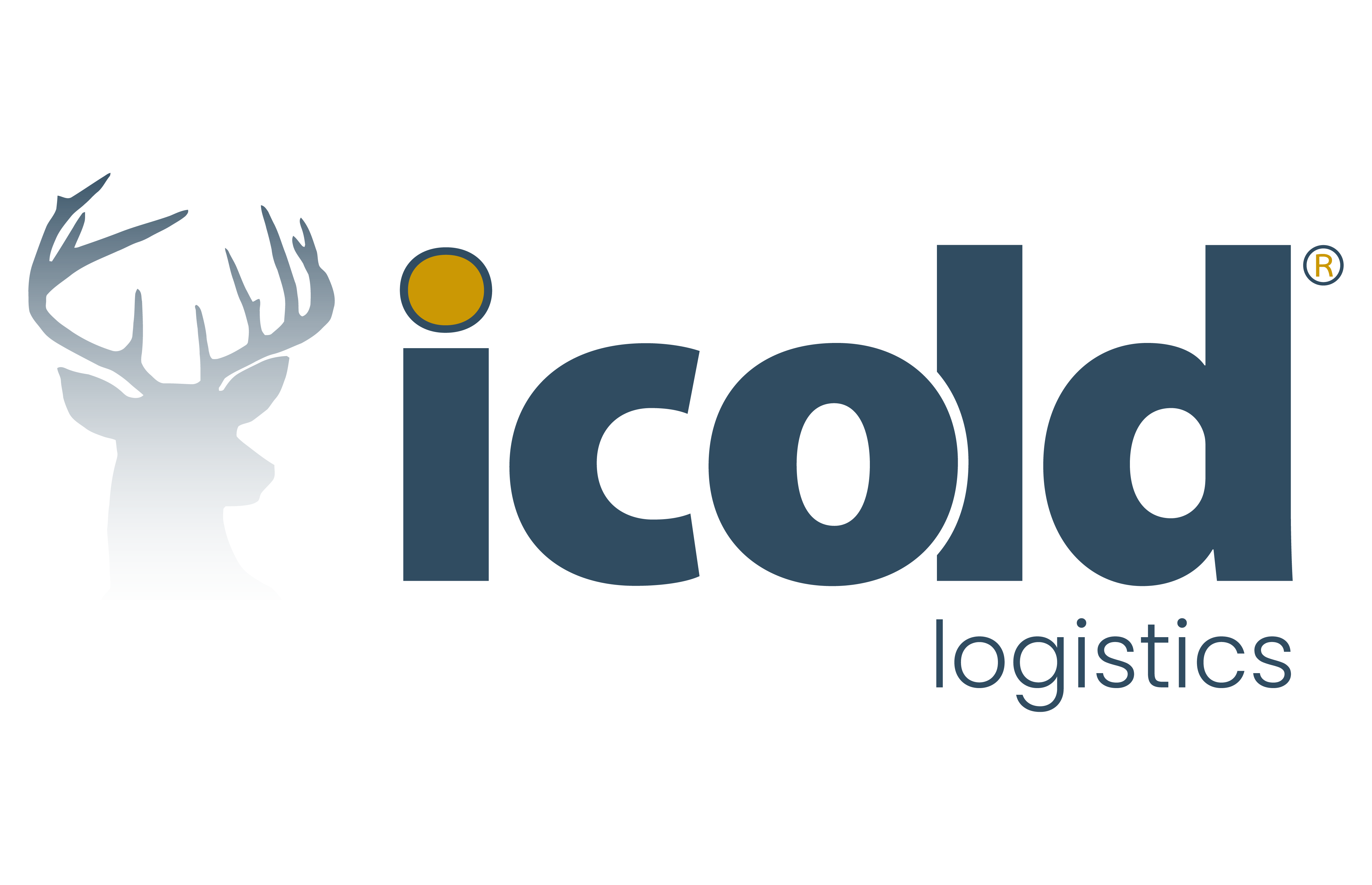 iCold Logo